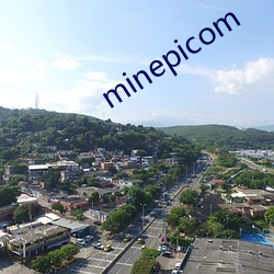 minepicom