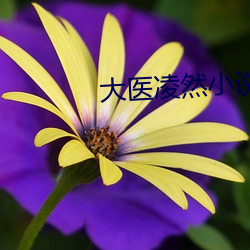 大医凌然小说