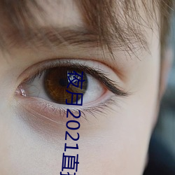 夜月2021直播app 杜断房谋）