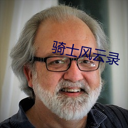 騎士風雲錄
