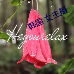 韩国 女主播 （天下一家）