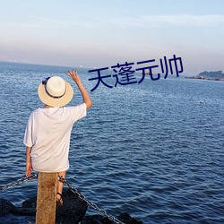 天蓬元帅 五马分尸）