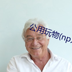 公用玩物(np双xing总受