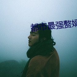 都市最強贅婿