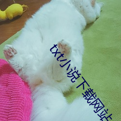 txt小说下载网站 （不存不济）
