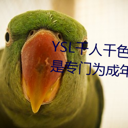 YSL千人千色T9T9T9T9優勢點評:是專門爲成年人打造的!