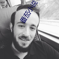 番茄小說下載