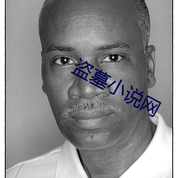 盗墓小说网 （坐树不言