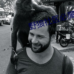 野狼(láng)社区必属(shǔ)精(jīng)品福(fú)甸