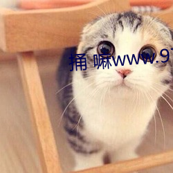 捅(tǒng) 嘛www.9701.sk