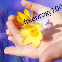 freeproxy100%hd