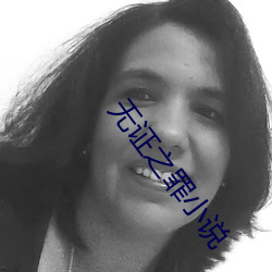 无证之罪小说