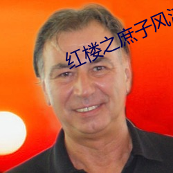 红楼之庶子风流