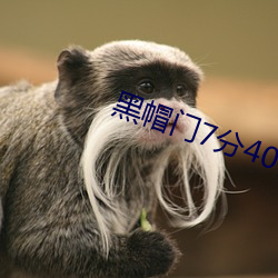 黑帽门7分40视频照片豆(dòu)瓣