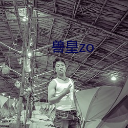 兽皇zo