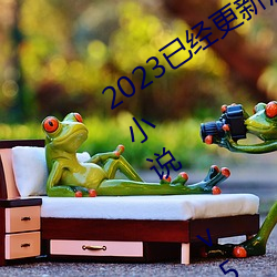 2023已经更新猖獗(狂)的(的)交流小(小)雅(雅)小(小)姿(姿)1～6小(小)说(說) v5.16