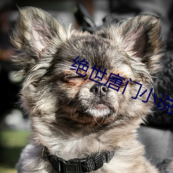 绝世唐门(mén)小说