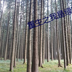 重生之我是綠巨人
