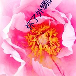 ca88手机客户端(安卓/苹果)CA88会员登录入口