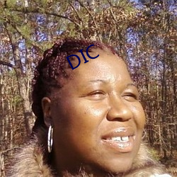 DIC