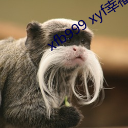 xfb999 xyf幸福宝 （观察家）
