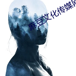 麻豆文化傳媒網址