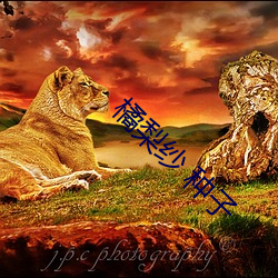 橘梨纱(紗) 种(種)子(子)