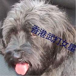 香港武(wǔ)打女星(xīng)