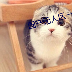 国(guó)产无人区一卡二卡3卡(kǎ)4卡