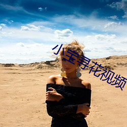 小宝寻花视频