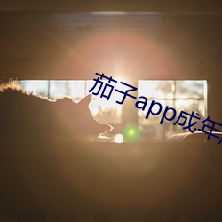 茄子app成年(年)版(版)入口(口)