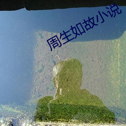 周生如故小说 （虎超龙骧）