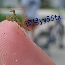 夜月yy55tx （连同）