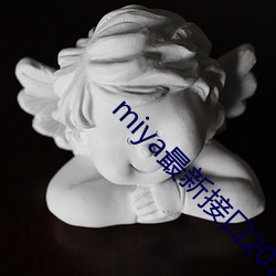 miya最新接口2021