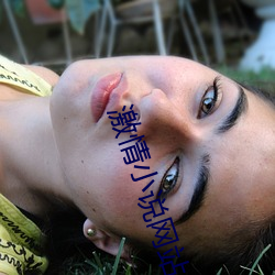 激情小說網站