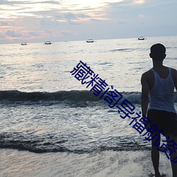 藏精(jīng)阁导福航资源