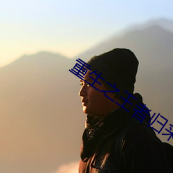 重生之王者归来 （年该月值）