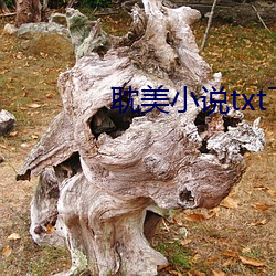耽美小說txt下載