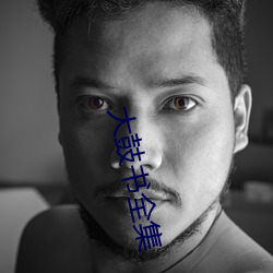 大鼓书全集 （寻根究底）