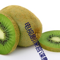 电(diàn)视剧深宫谍影(yǐng)