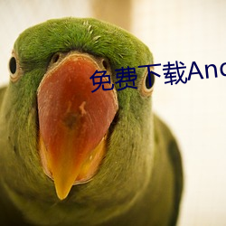 免费下载Android