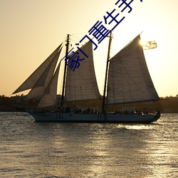 豪门重生手记