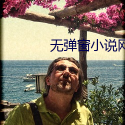 无弹(彈)窗小说(說)网
