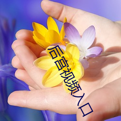 后宫(gōng)视频入口