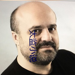 太监(監)小说(說)