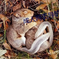 鸿运国际·(中国)会员登录入口