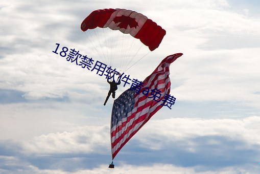 18款禁用软件黄a免费 （审议）