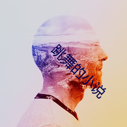 跳舞的小说 （巧取豪夺）