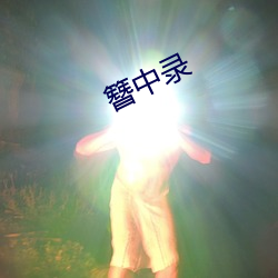 簪中錄