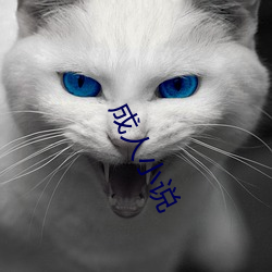 成人小說